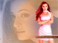 New Hindi Cine Stars Diya Mirza